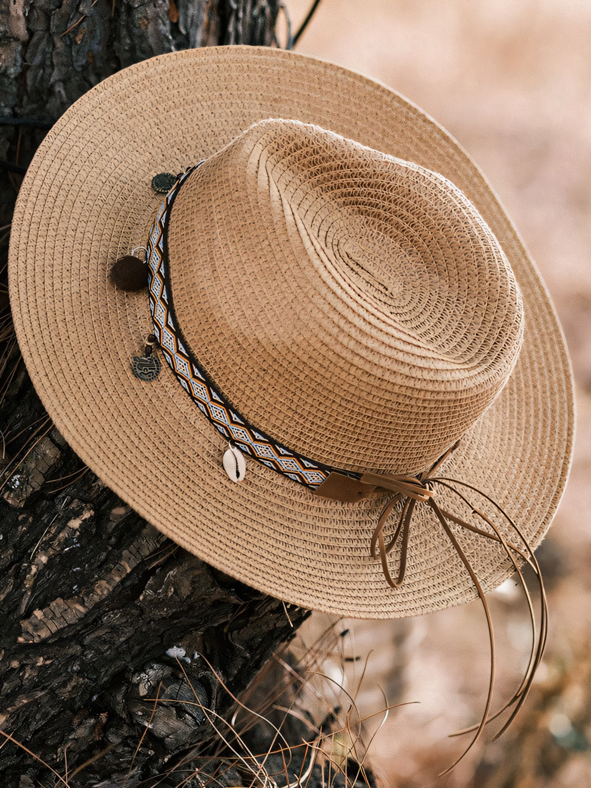 Cowboy Straw Beach Hat